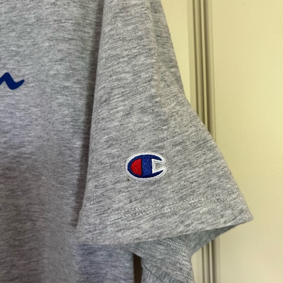 Gray Champion Logo Long Crop Crewneck Short Sleeve Tee Loose Fit Medium - Picture 3 of 4